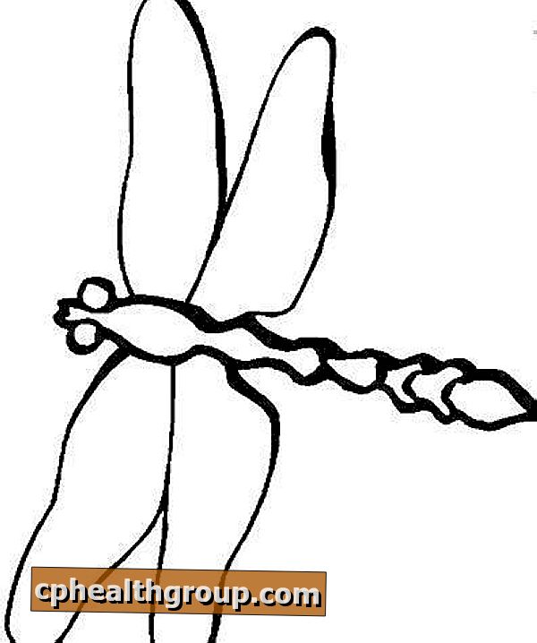 Hogyan rajzoljunk egy szitakötőt