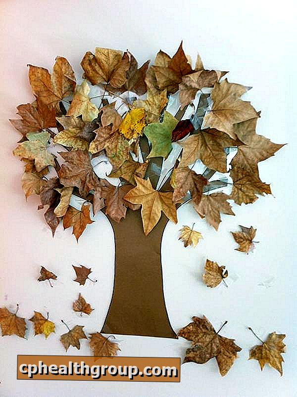 Como fazer uma árvore de outono para decorar