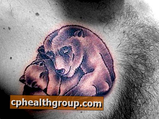 Qual é o significado de tatuagens ursos