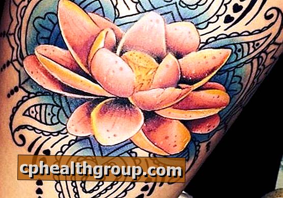 Znaczenie tatuaży kwiatu lotosu