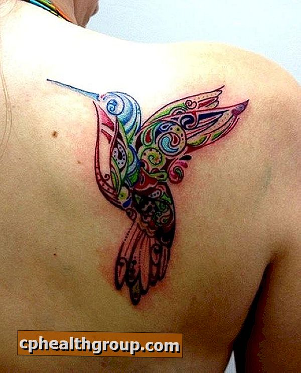 Što je značenje tetovaža ptica