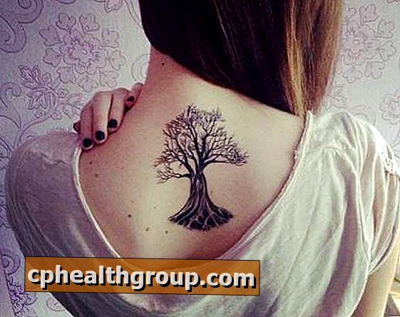 Quelle est la signification des tatouages ​​sur les arbres?