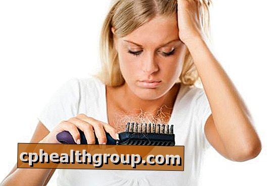Rosemary pro ztrátu vlasů: vlastnosti, výhody a způsoby jejího použití
