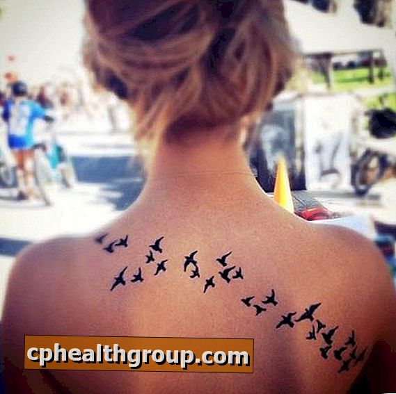 Jaký je význam ptačí tetování?