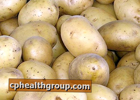 Kuidas säilitada kartuleid
