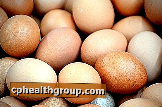 Fordeler med å spise egg hvitt