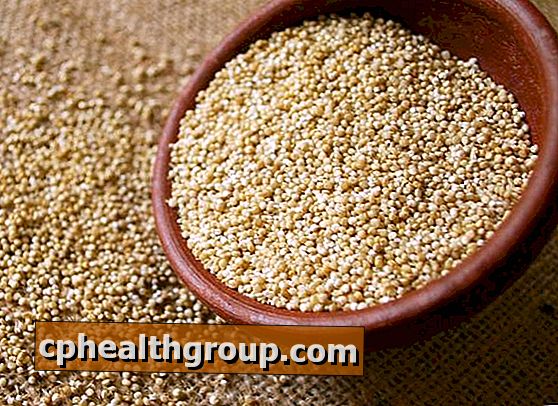 quinoa fogyás eredményei)