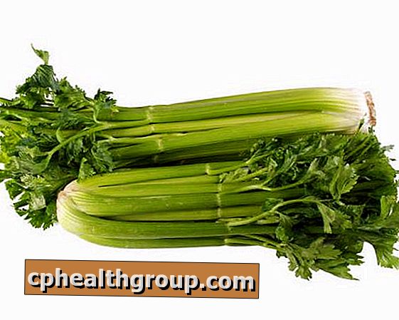 kako koristiti celer u hipertenziji