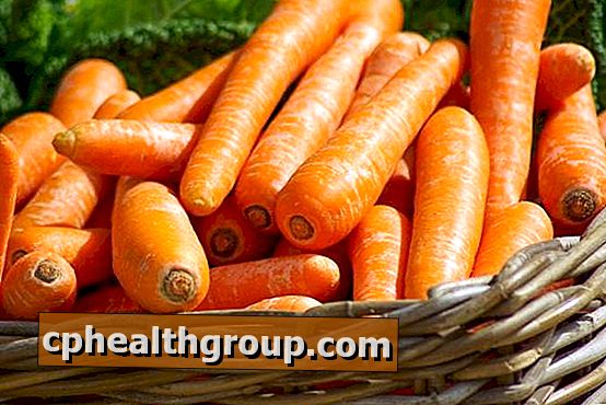 Origine e storia della carota