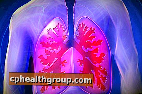 Oefeningen om de longen te versterken