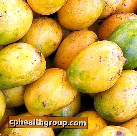 Wie behandelt man Ekzeme mit Mango?
