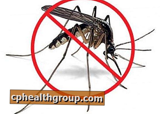 Ako zabrániť chikungunya