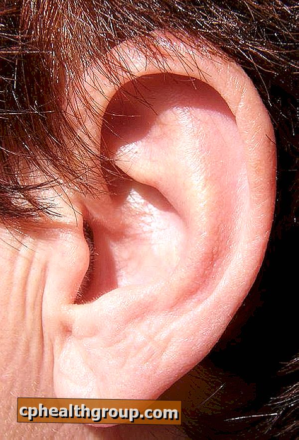Por que temos cera nos ouvidos