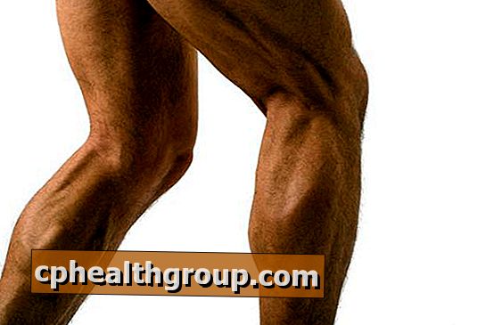 Comment gagner du muscle dans les jambes