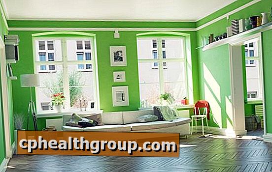 Как совместить зеленый цвет на стенах