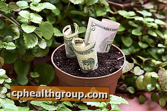 Planter for å tiltrekke seg penger