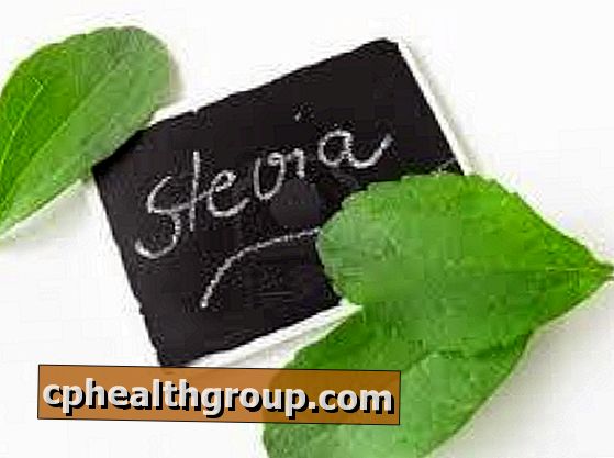 Wie wird Stevia angebaut?