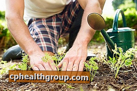 Kā mērīt augsnes pH