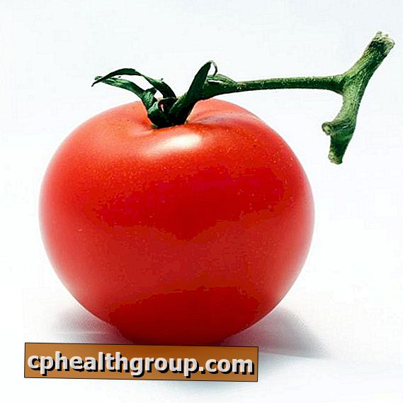 Wann die Tomaten pflanzen