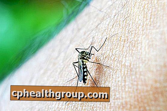 Hoe muggenspray thuis te maken