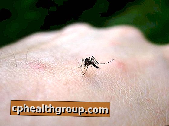 Как отогнать комаров с уксусом