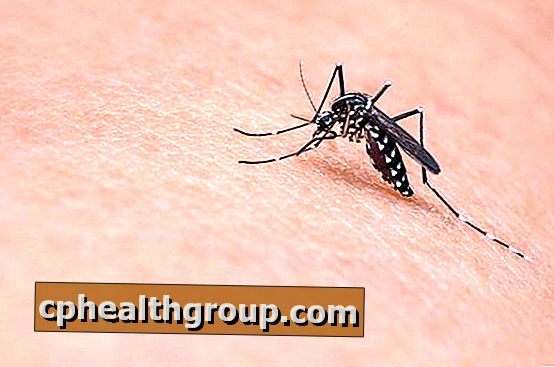 Come rendere naturale anti-zanzara