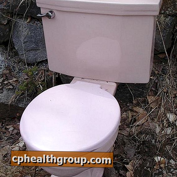 Как да има блестящата тоалетна