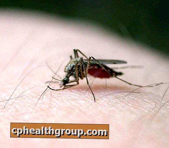 Ako sa vyhnúť nákaze komárom