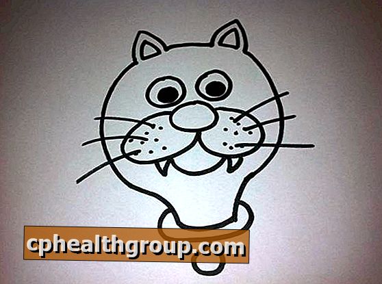 Hogyan kell felhívni a rajzfilm macska arcát