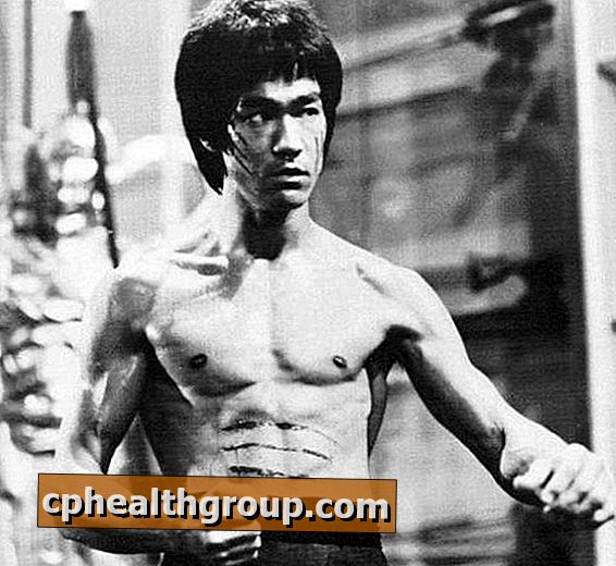 Hur Bruce Lee dog
