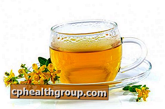 Benefici e controindicazioni del tè all'arnica