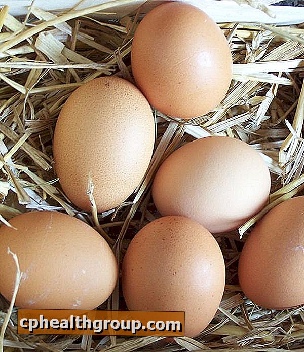 Как да знам дали имам алергия към яйцето