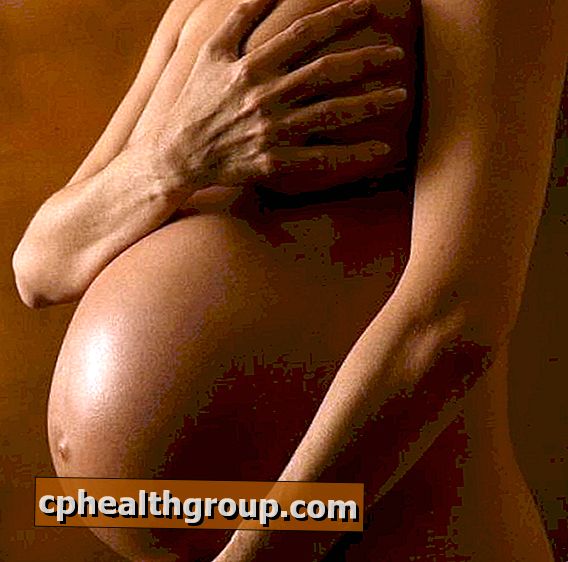 Hur brösten modifieras hos gravida