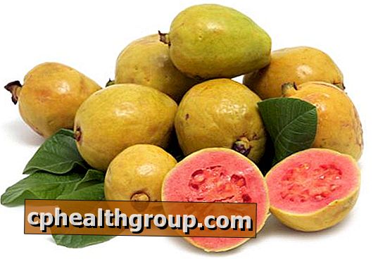 poate că frunzele guava ajută la scăderea în greutate)