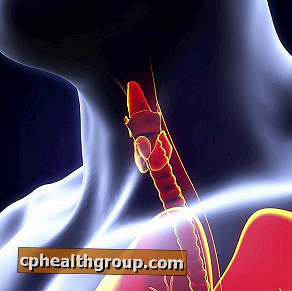 Comment traiter la thyroïde haute