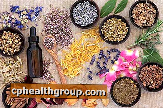 Rośliny lecznicze na menopauzę