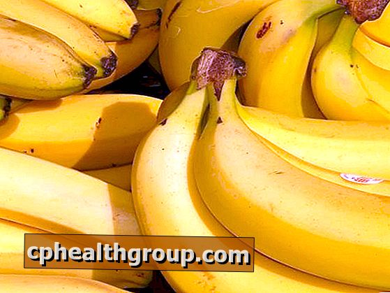 Kādas ir banānu īpašības