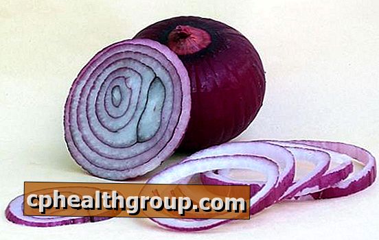 Medizinische Eigenschaften von lila Zwiebeln