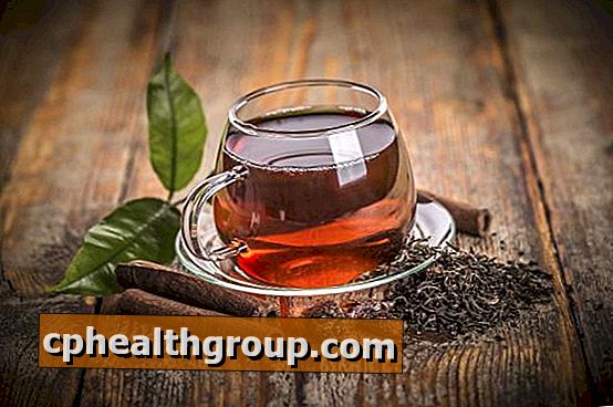 Was sind die Kontraindikationen von schwarzem Tee