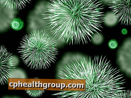 Quais são os benefícios das bactérias para a saúde?