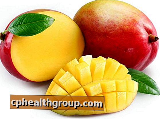 Āfrikas mango īpašības un kontrindikācijas