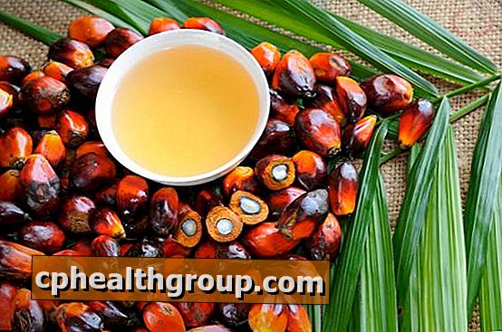 Ist Palmöl gesundheitsschädlich?  - Hier ist die Antwort