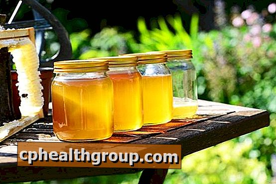 Contre-indications de miel